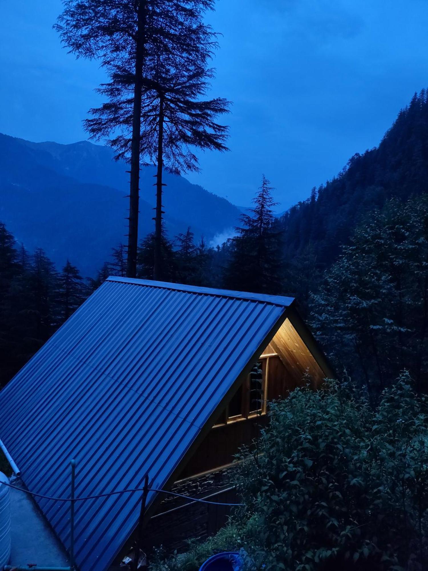 Forest View Cottage Jibhi ภายนอก รูปภาพ