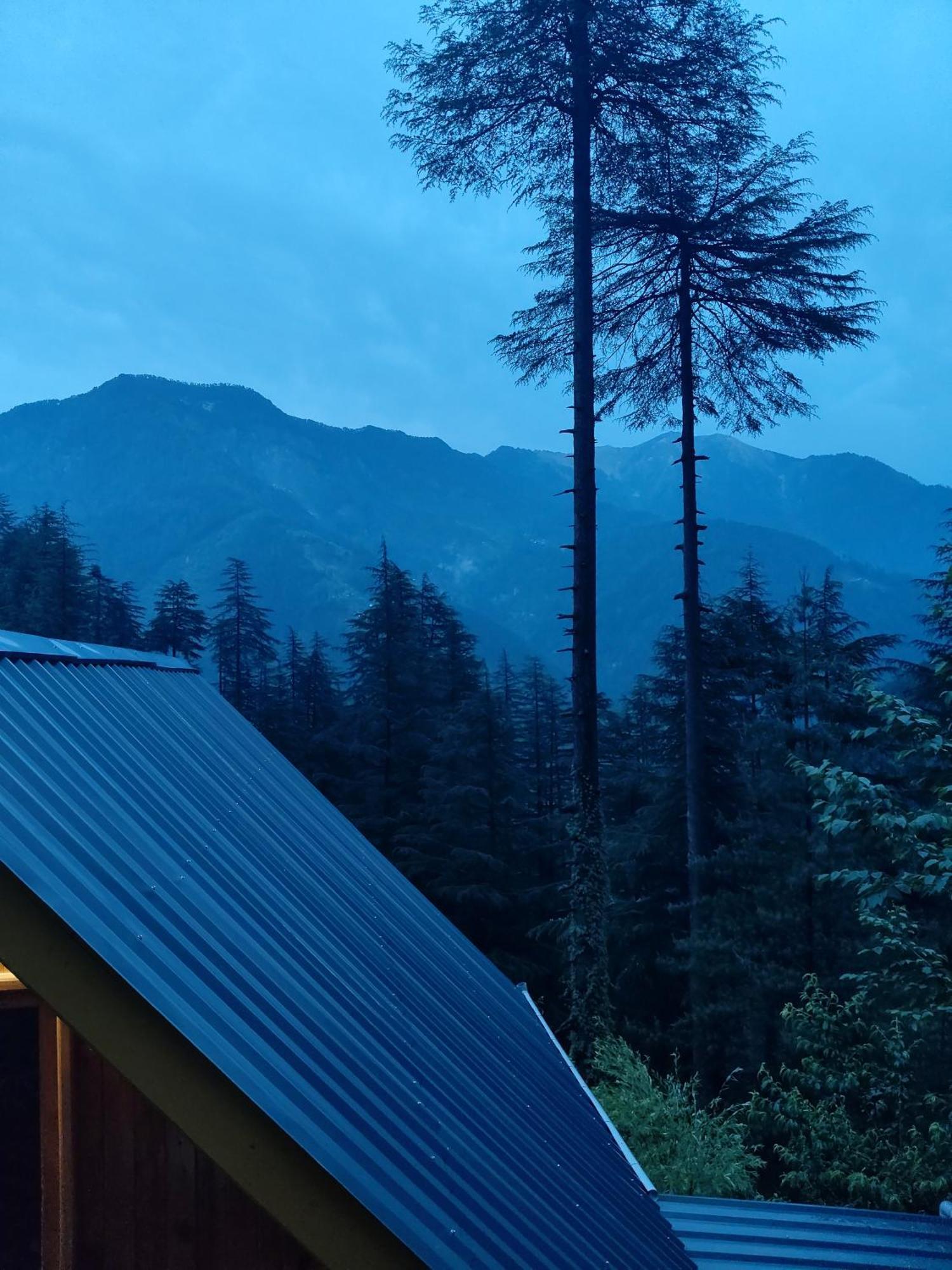 Forest View Cottage Jibhi ภายนอก รูปภาพ