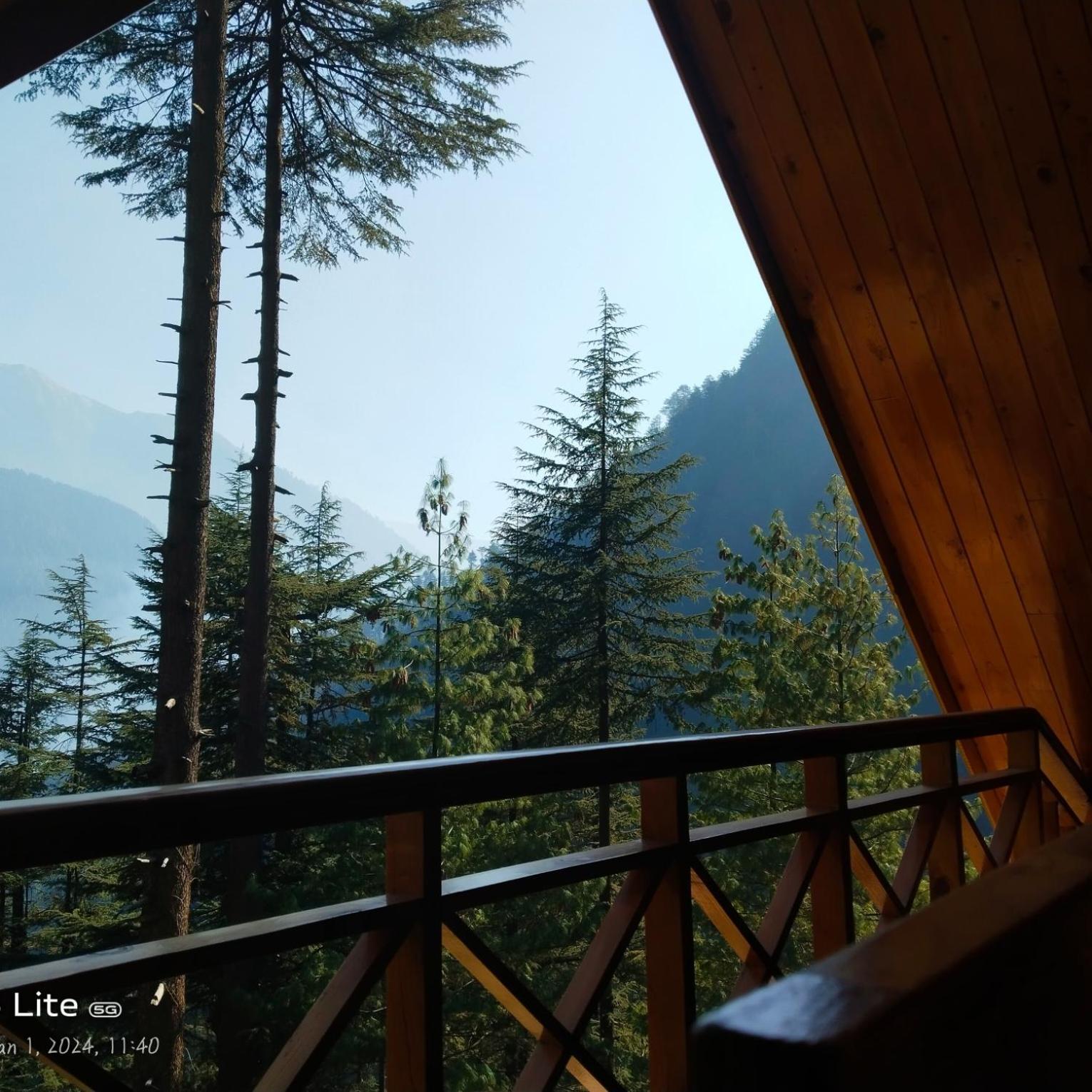 Forest View Cottage Jibhi ภายนอก รูปภาพ