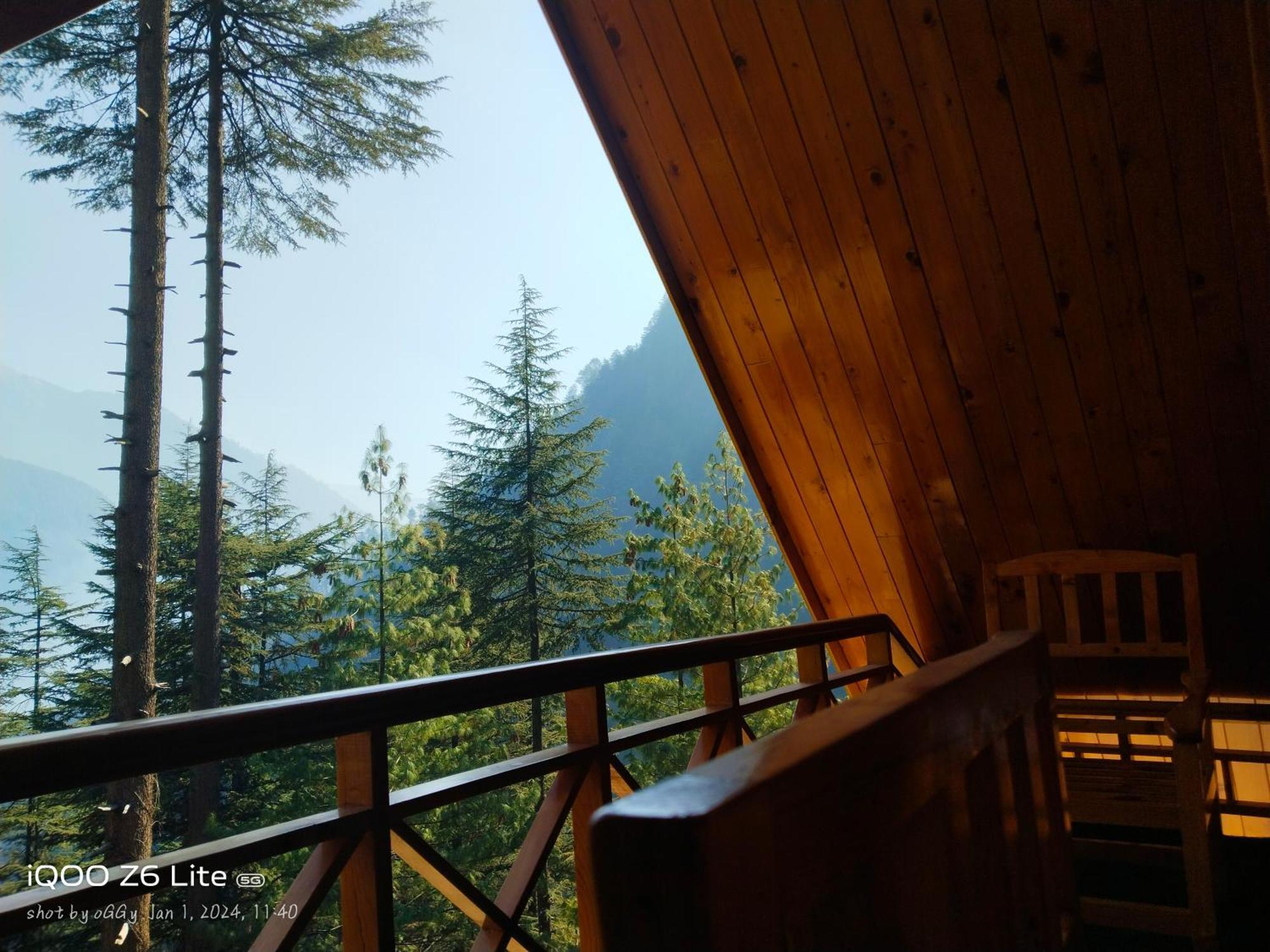 Forest View Cottage Jibhi ภายนอก รูปภาพ